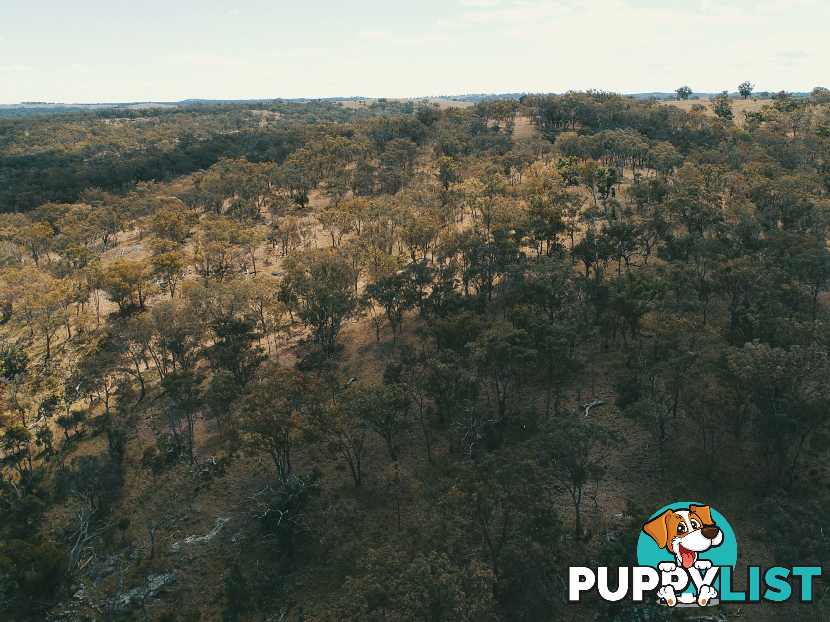 Lot 2 Stanthorpe Texas Road STANTHORPE QLD 4380