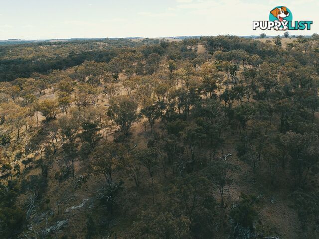 Lot 2 Stanthorpe Texas Road STANTHORPE QLD 4380