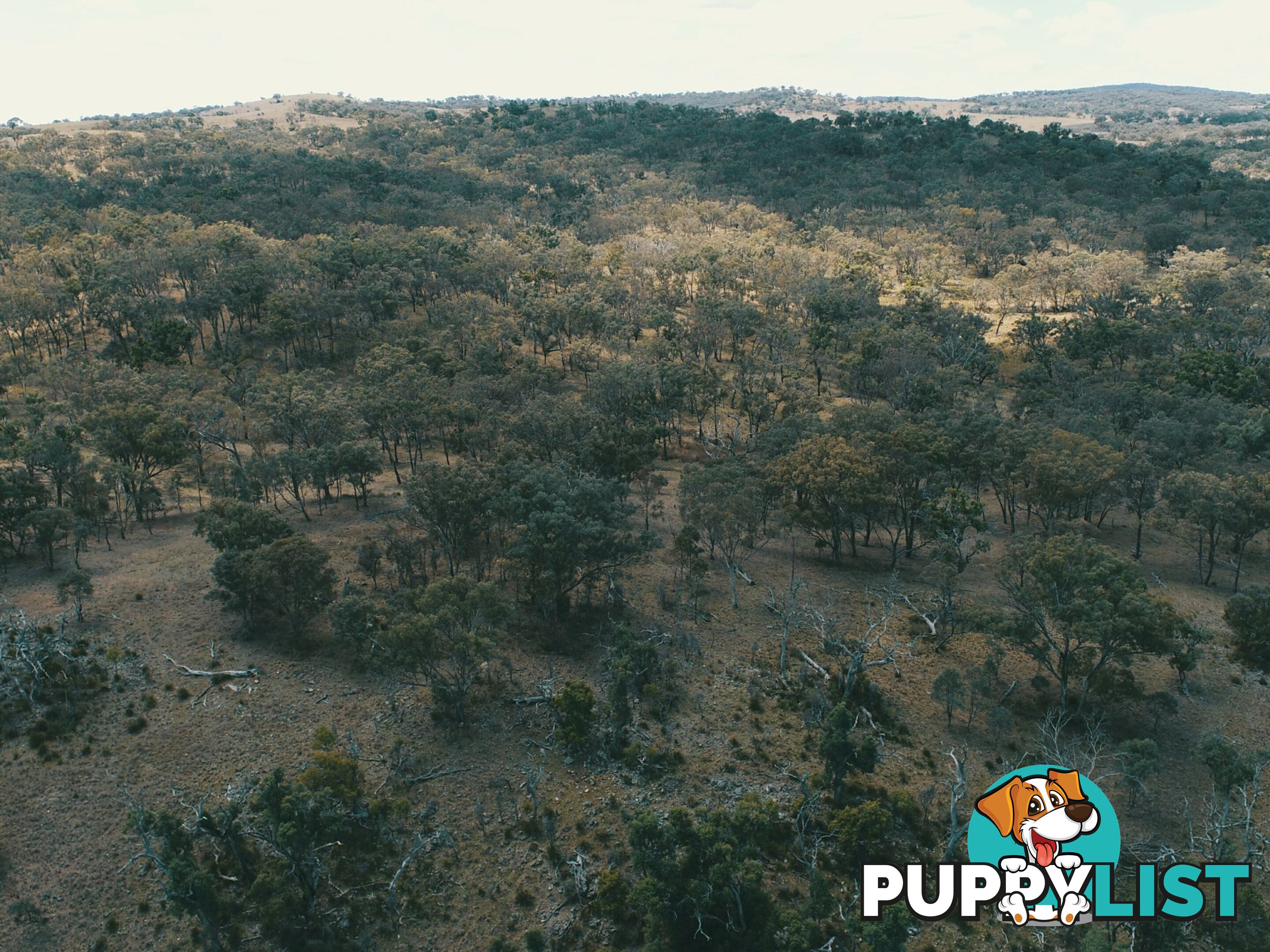 Lot 2 Stanthorpe Texas Road STANTHORPE QLD 4380