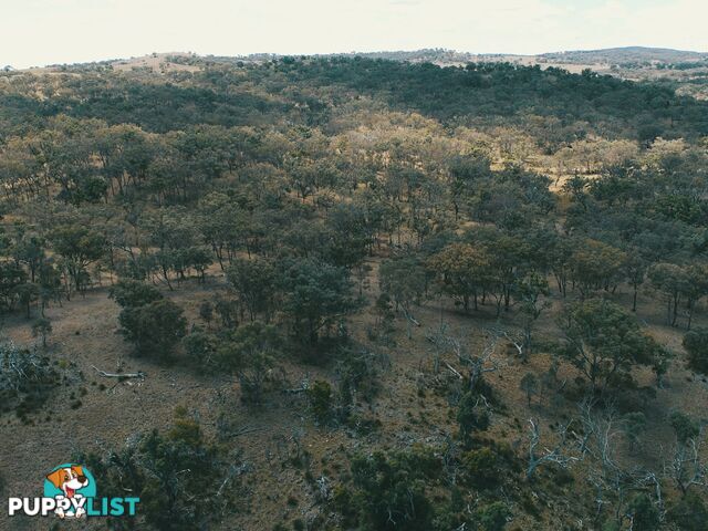 Lot 2 Stanthorpe Texas Road STANTHORPE QLD 4380