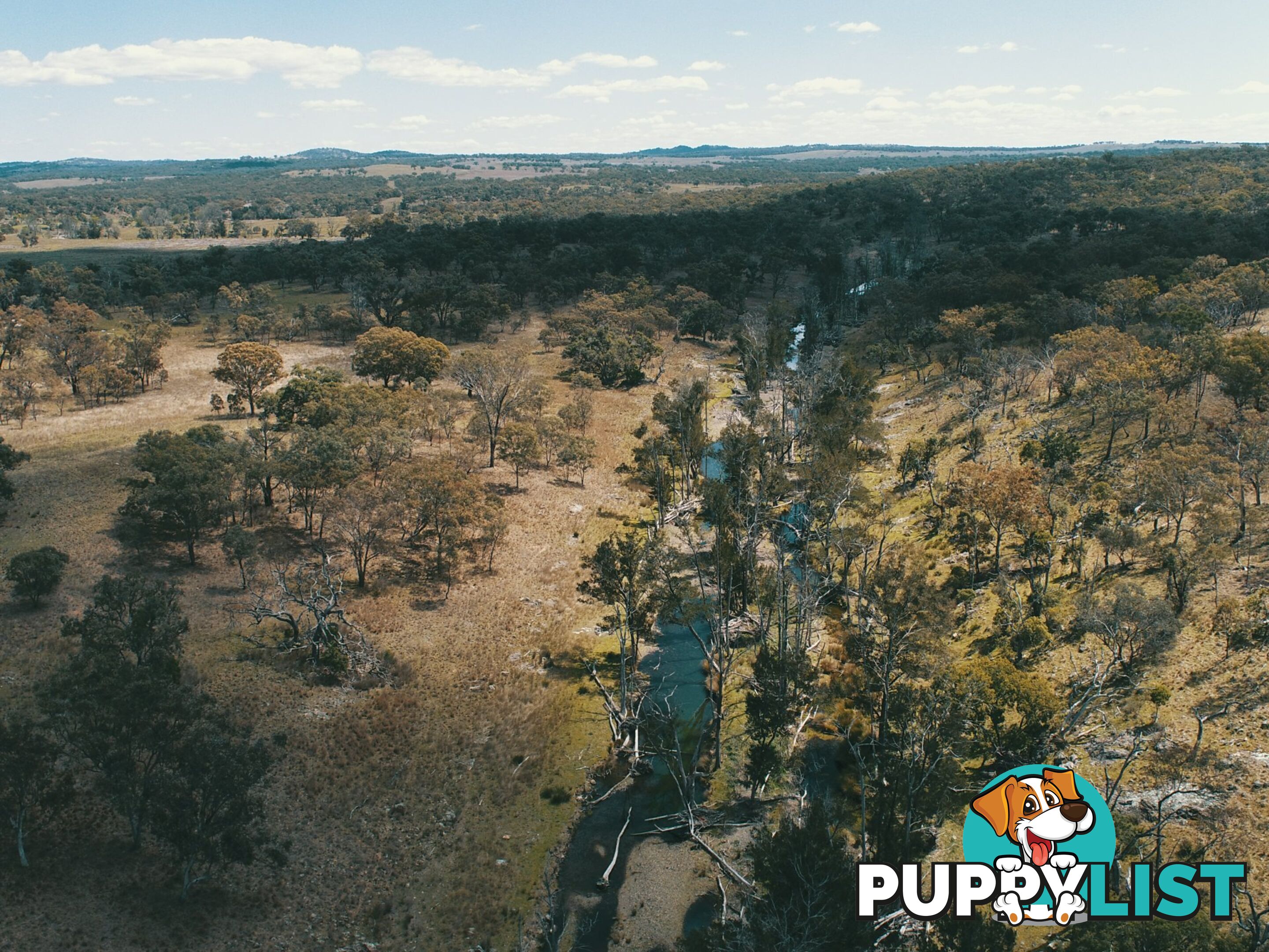 Lot 2 Stanthorpe Texas Road STANTHORPE QLD 4380