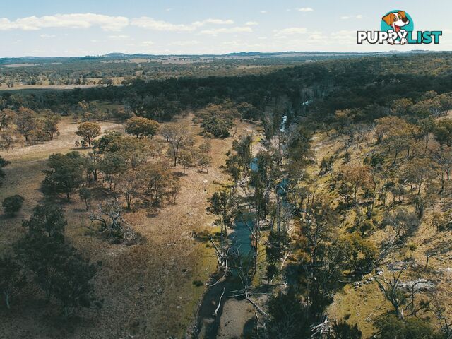 Lot 2 Stanthorpe Texas Road STANTHORPE QLD 4380