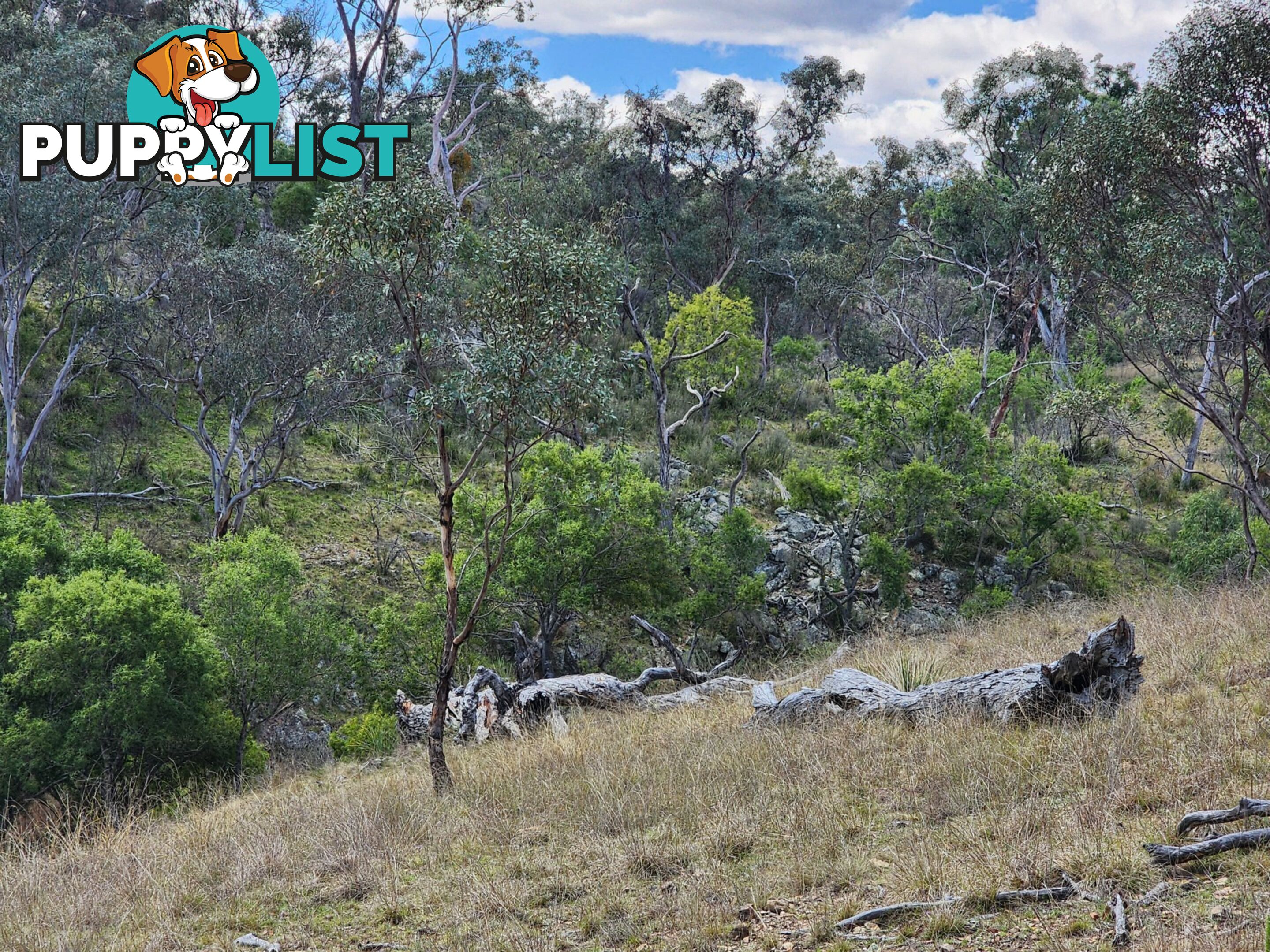 Lot 2 Stanthorpe Texas Road STANTHORPE QLD 4380