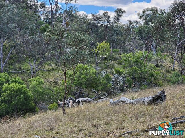 Lot 2 Stanthorpe Texas Road STANTHORPE QLD 4380