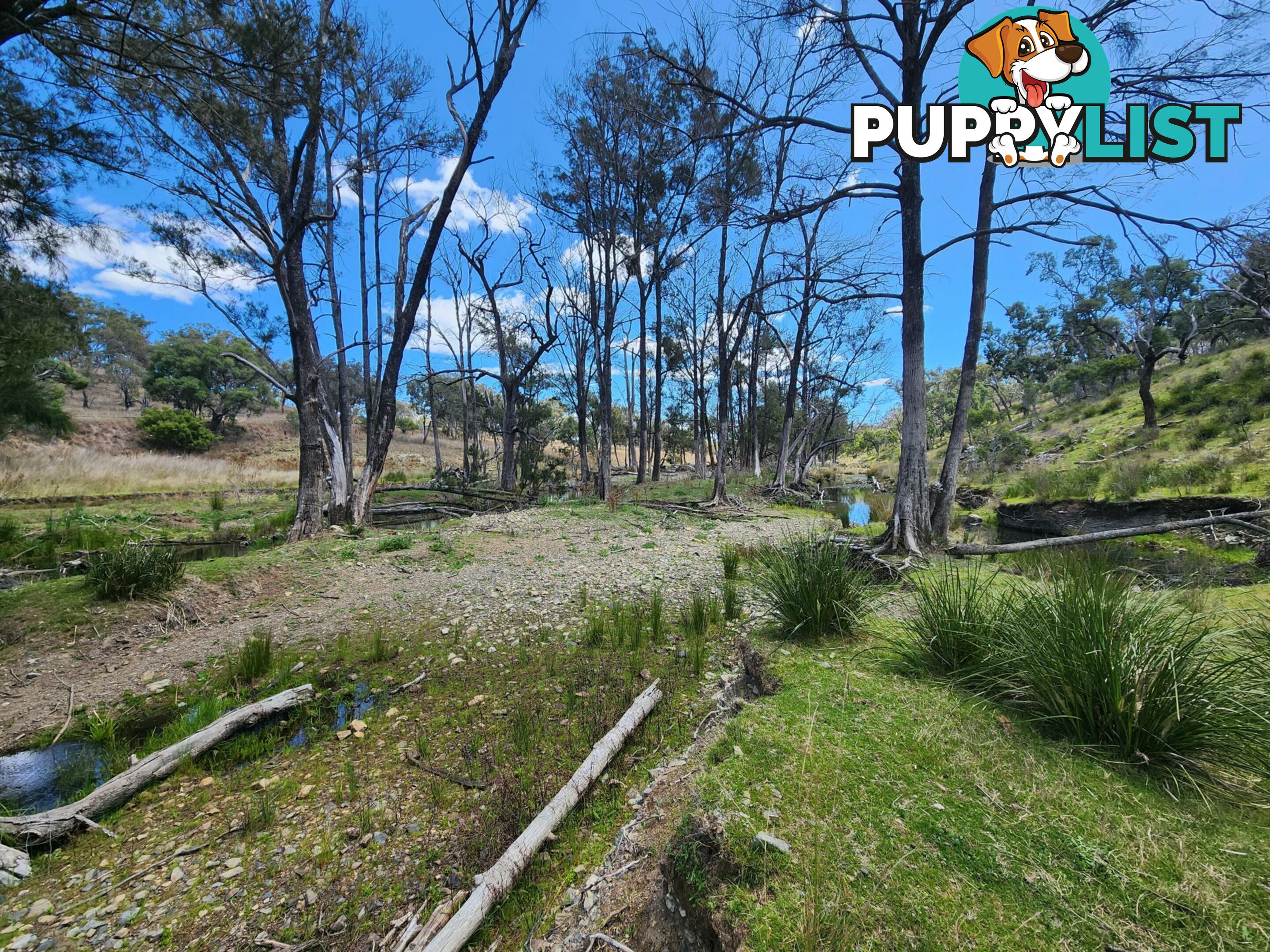Lot 2 Stanthorpe Texas Road STANTHORPE QLD 4380