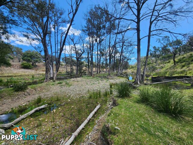 Lot 2 Stanthorpe Texas Road STANTHORPE QLD 4380