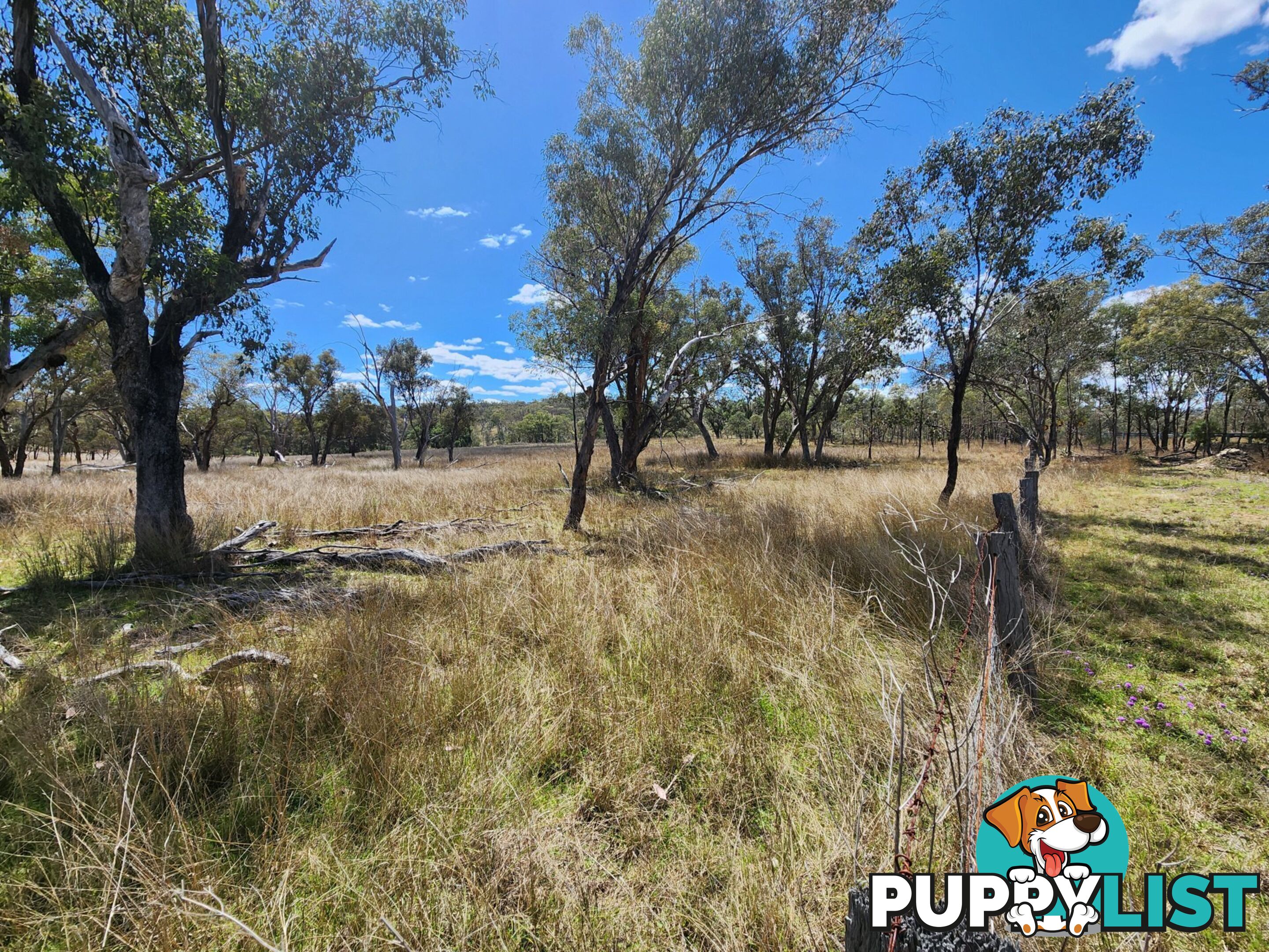 Lot 2 Stanthorpe Texas Road STANTHORPE QLD 4380