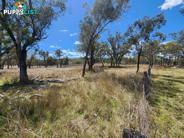 Lot 2 Stanthorpe Texas Road STANTHORPE QLD 4380