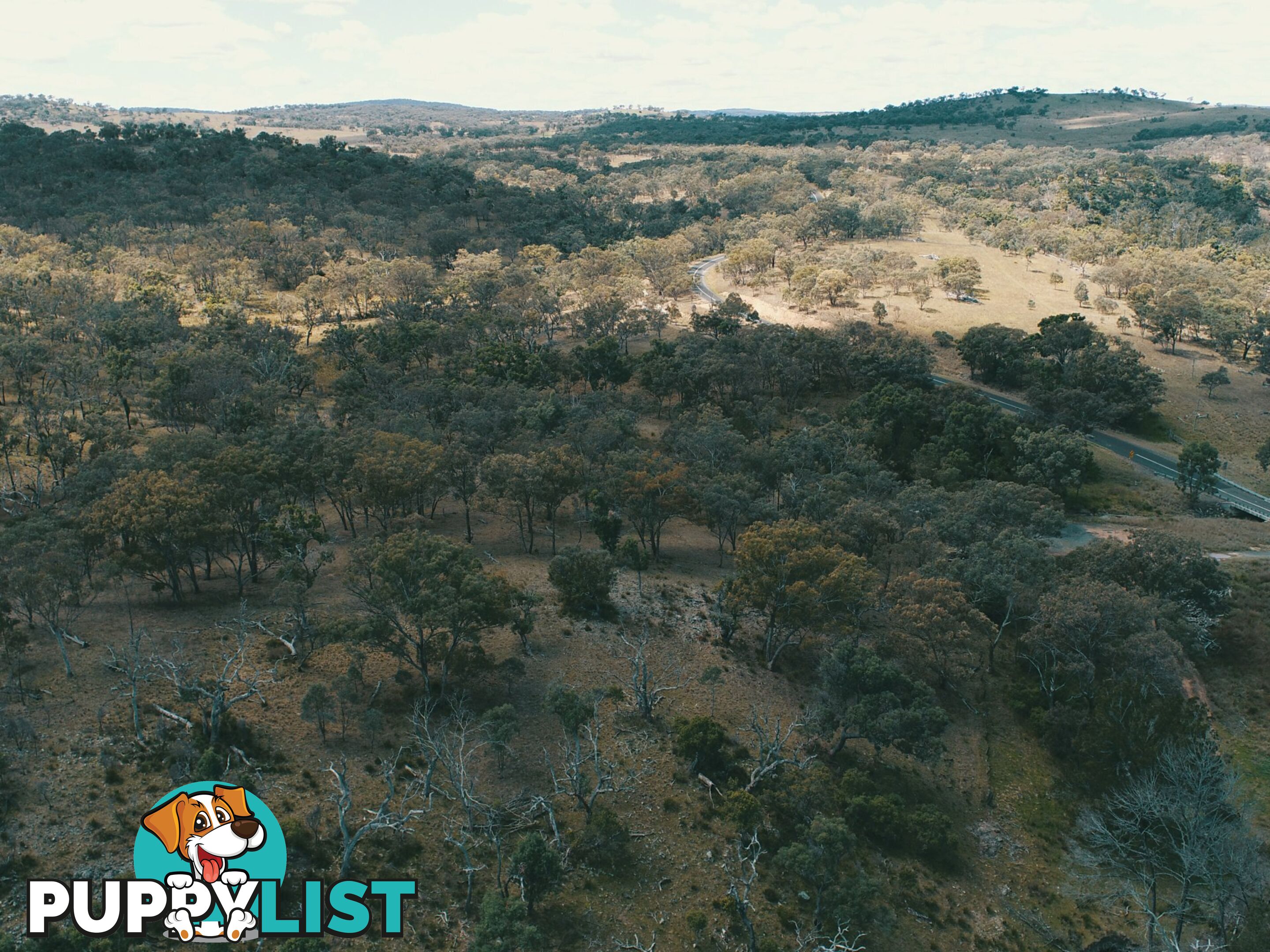 Lot 2 Stanthorpe Texas Road STANTHORPE QLD 4380
