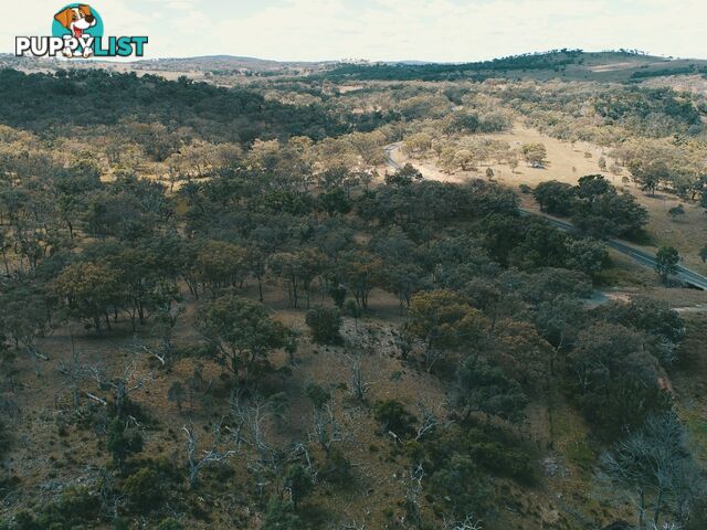 Lot 2 Stanthorpe Texas Road STANTHORPE QLD 4380