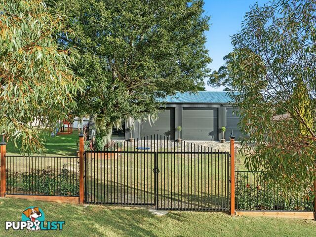 13 Douglas Street WARWICK QLD 4370