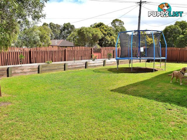 20 Evans Crescent WARWICK QLD 4370