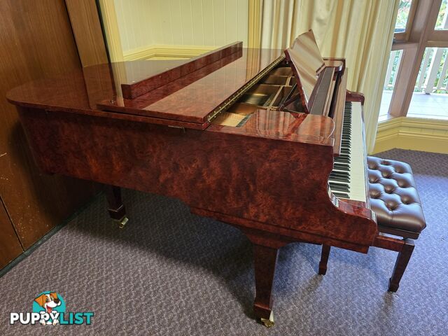 Musical Instrument For Sales Brodmann Grand Piano