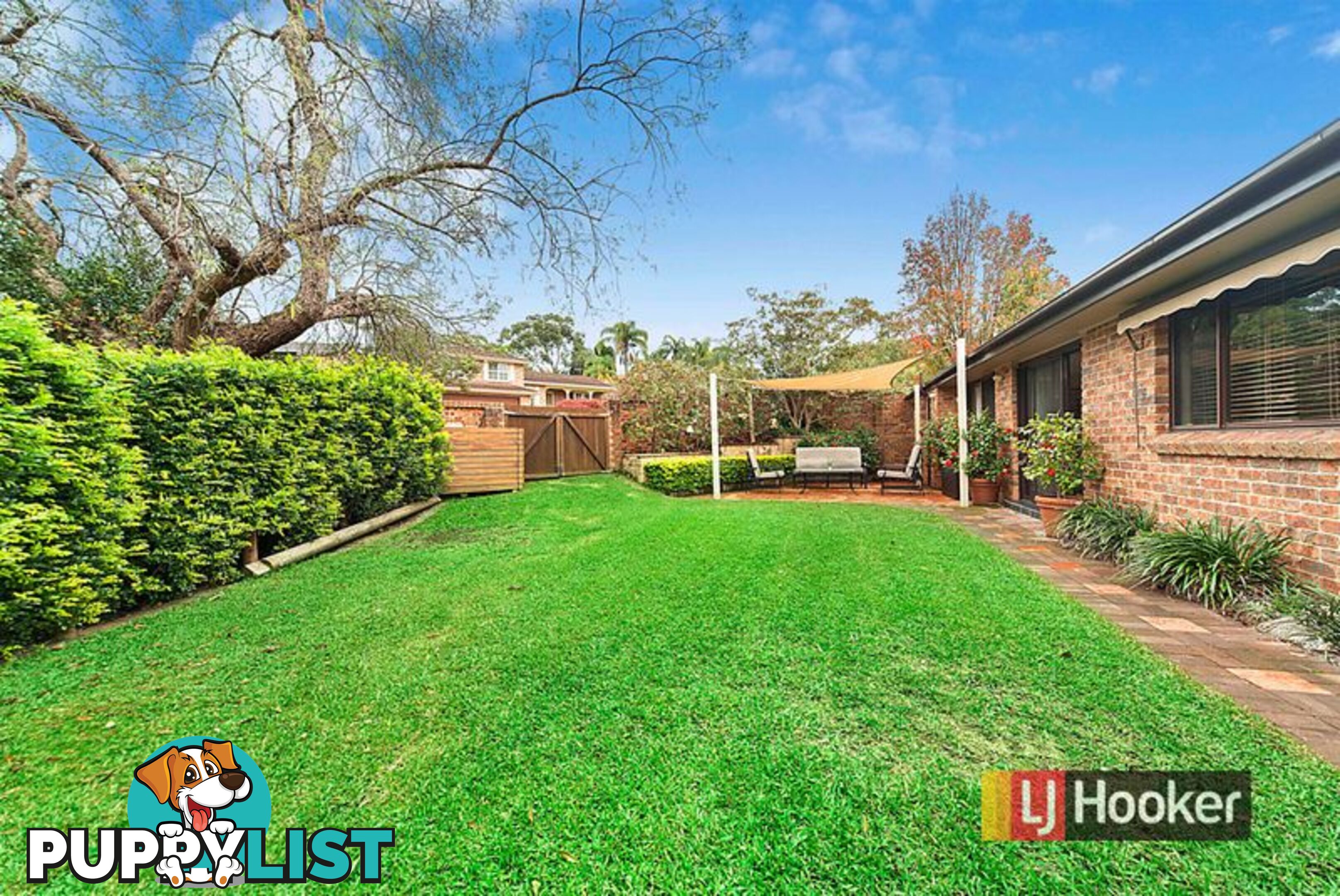 25 Candlebush Crescent CASTLE HILL NSW 2154