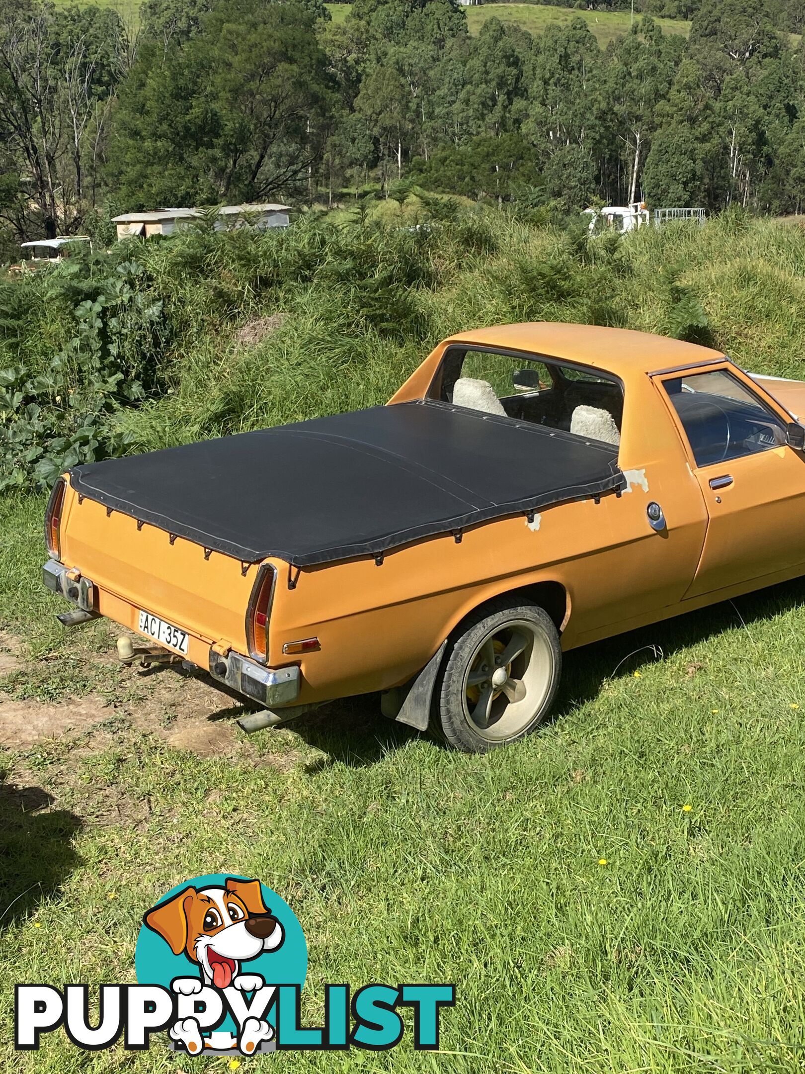 1975 Holden HJ Kingswood Ute