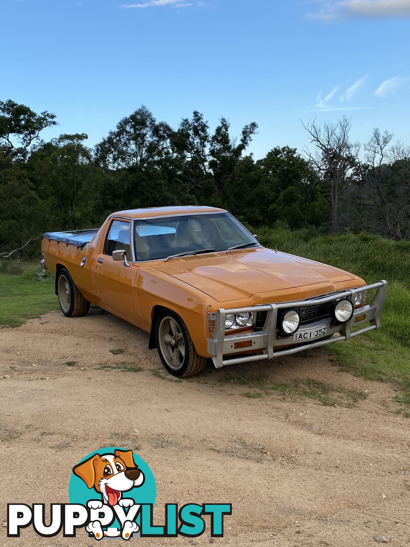 1975 Holden HJ Kingswood Ute