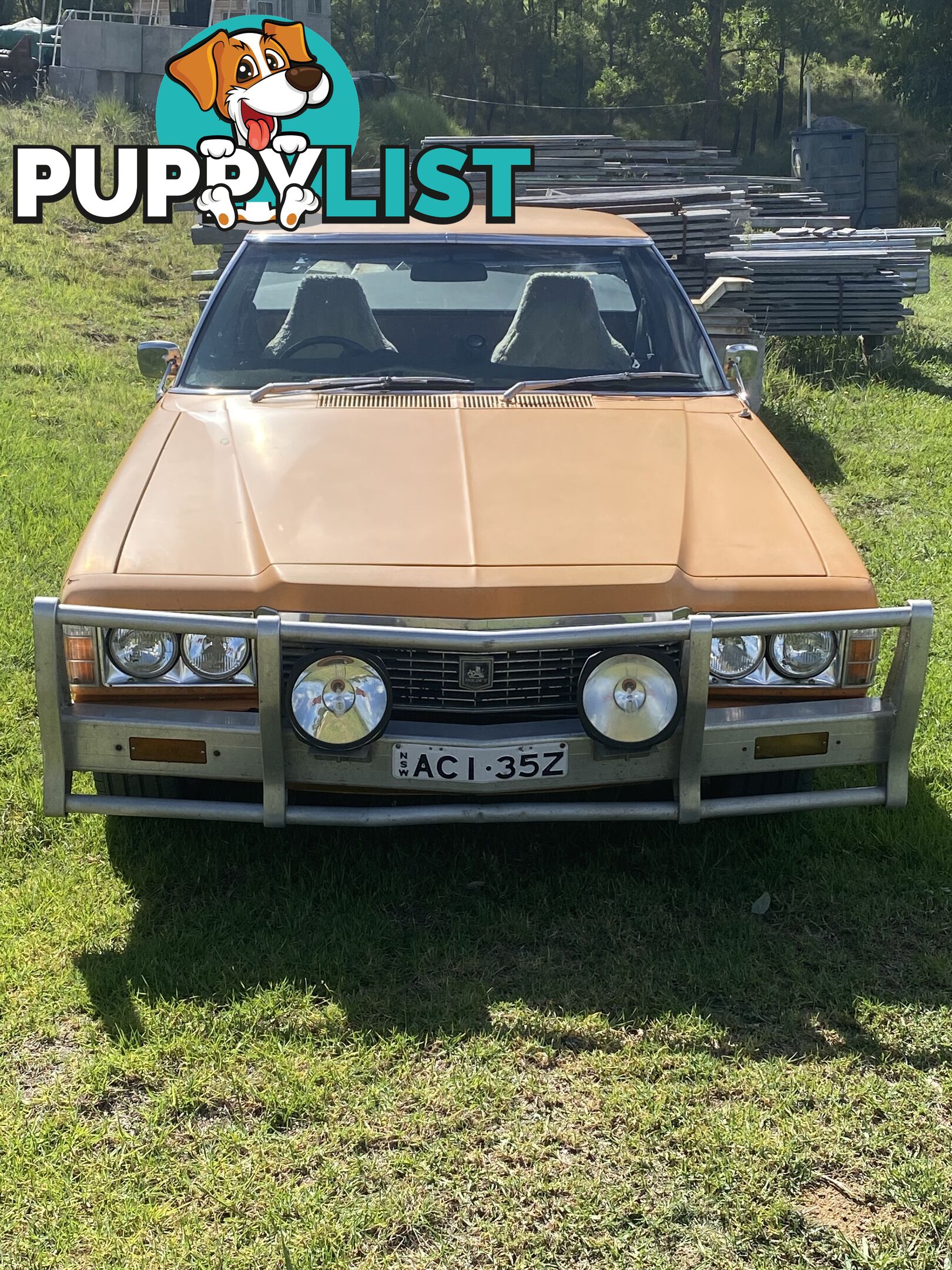 1975 Holden HJ Kingswood Ute