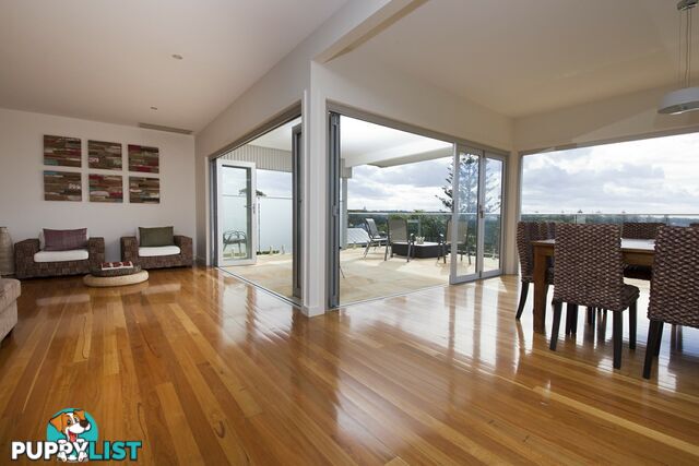 37A High Street HALLIDAYS POINT NSW 2430