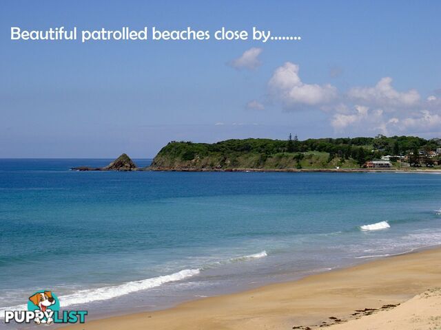 Lot Proposed Lot 10/310-314 Diamond Beach Road DIAMOND BEACH NSW 2430