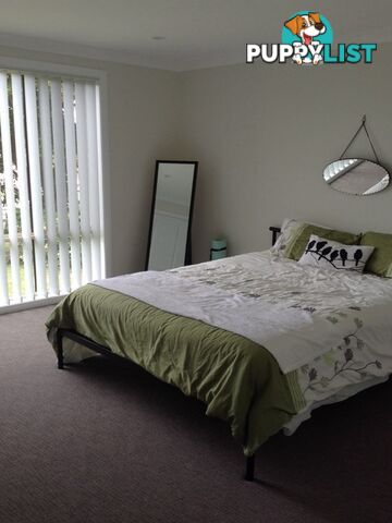 2 Hope Street HALLIDAYS POINT NSW 2430