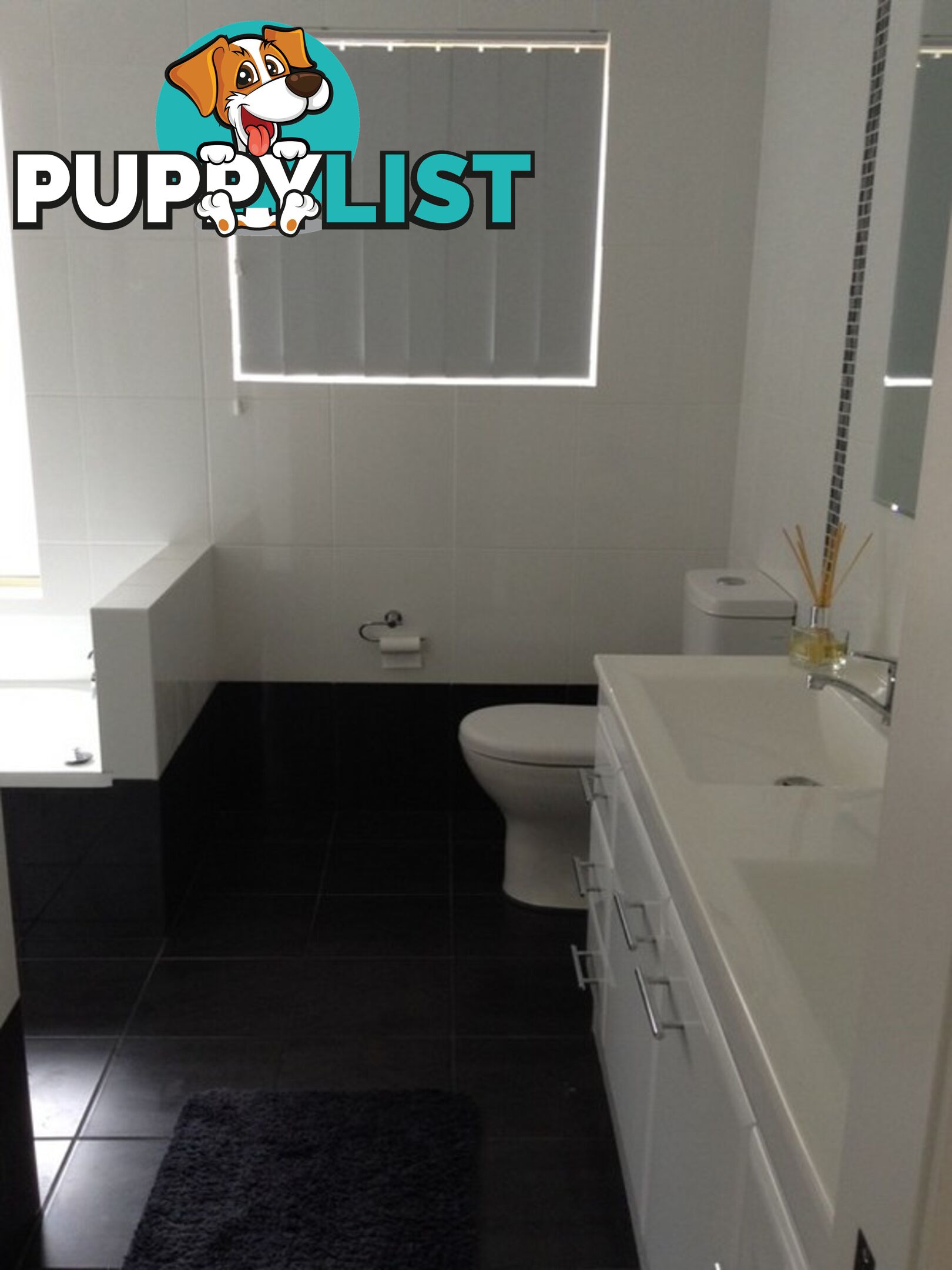 2 Hope Street HALLIDAYS POINT NSW 2430