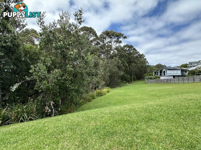 39 Cottesloe Circuit RED HEAD NSW 2430