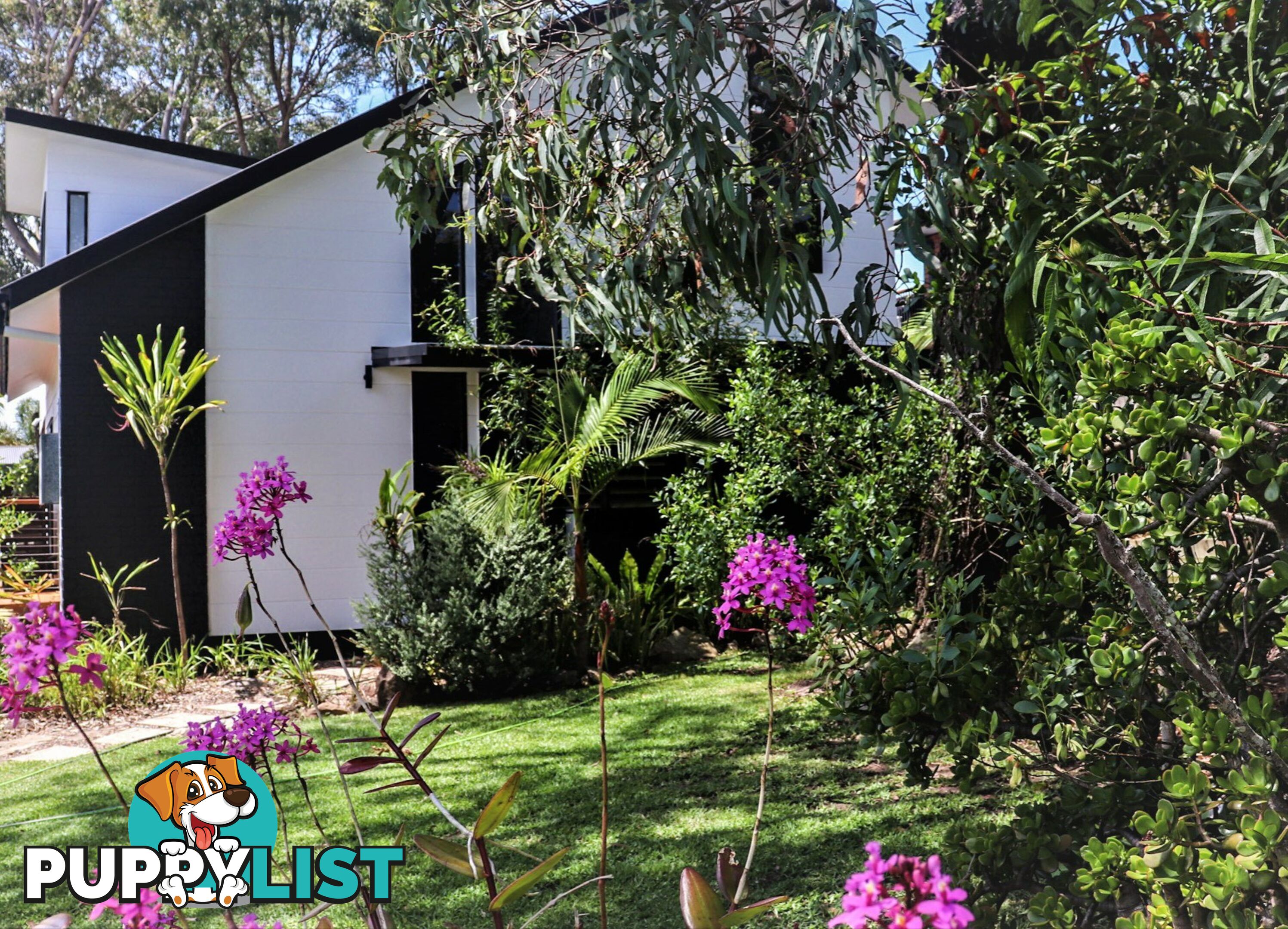 8 Sapphire Parade DIAMOND BEACH NSW 2430