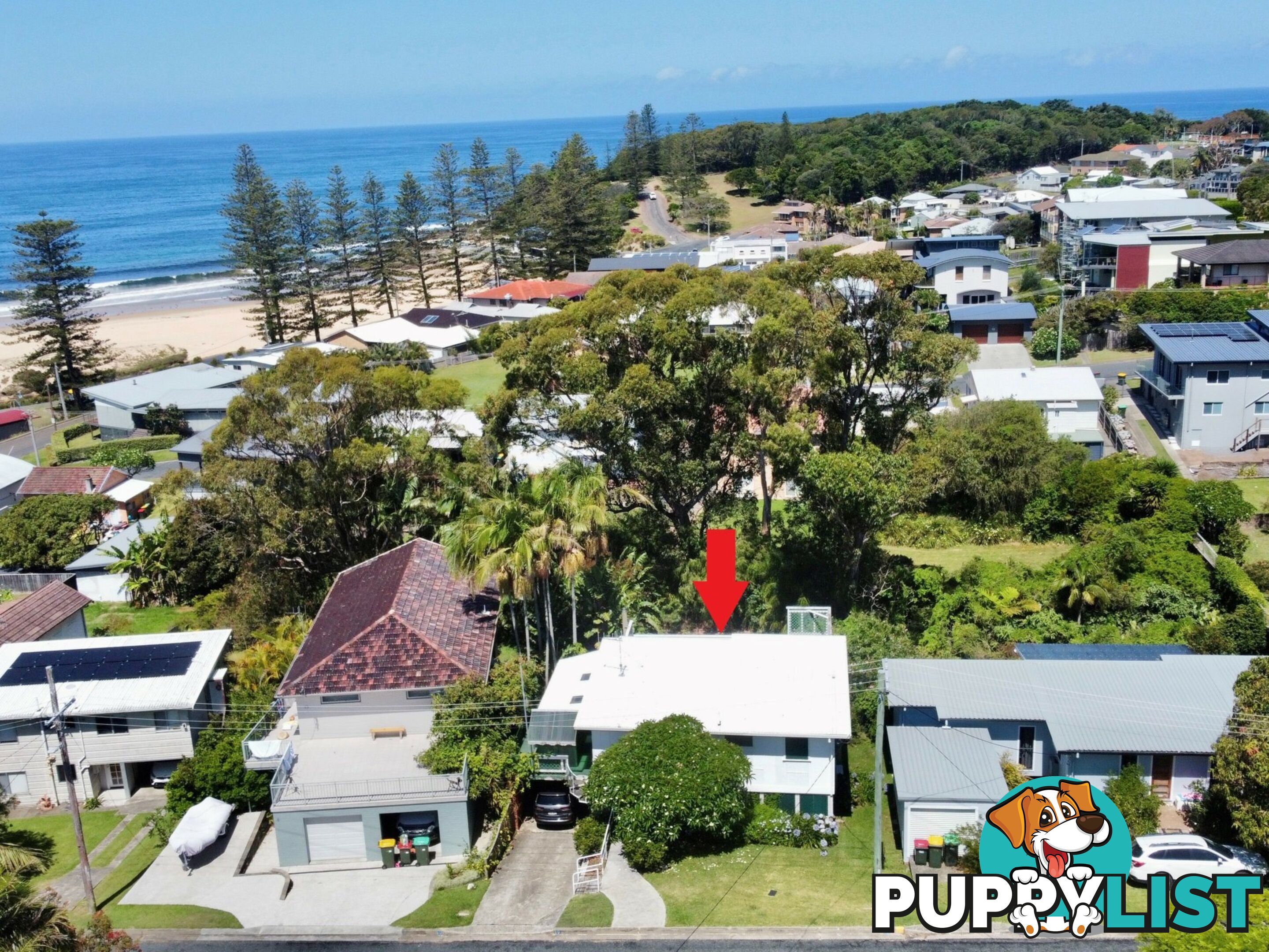 10 Surfview Avenue BLACK HEAD NSW 2430