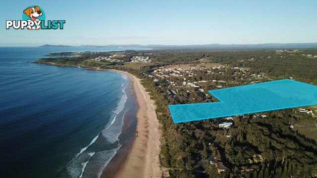 Lot Proposed Lot 12/310-314 Diamond Beach Road DIAMOND BEACH NSW 2430