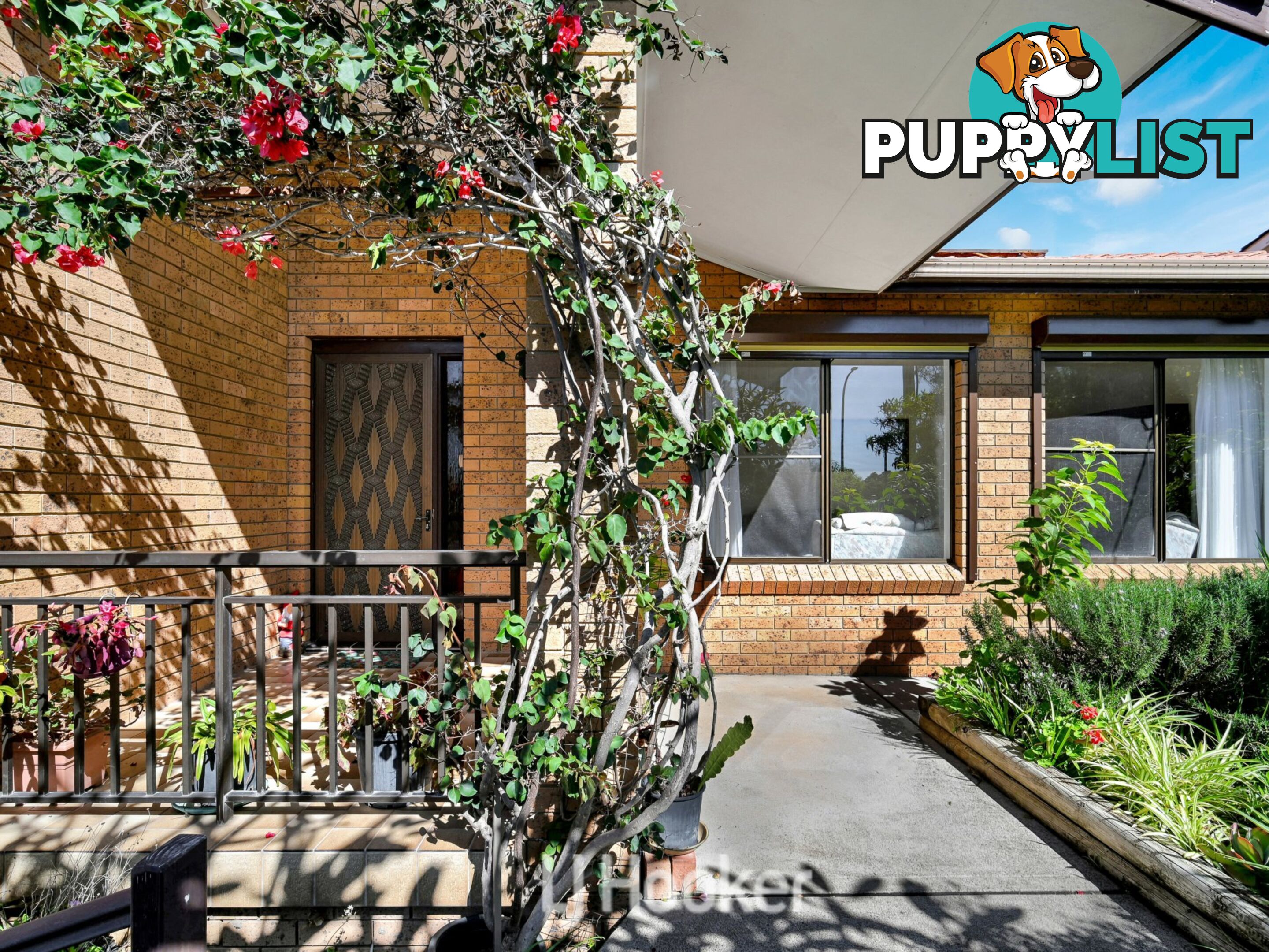 65a Redhead Road HALLIDAYS POINT NSW 2430