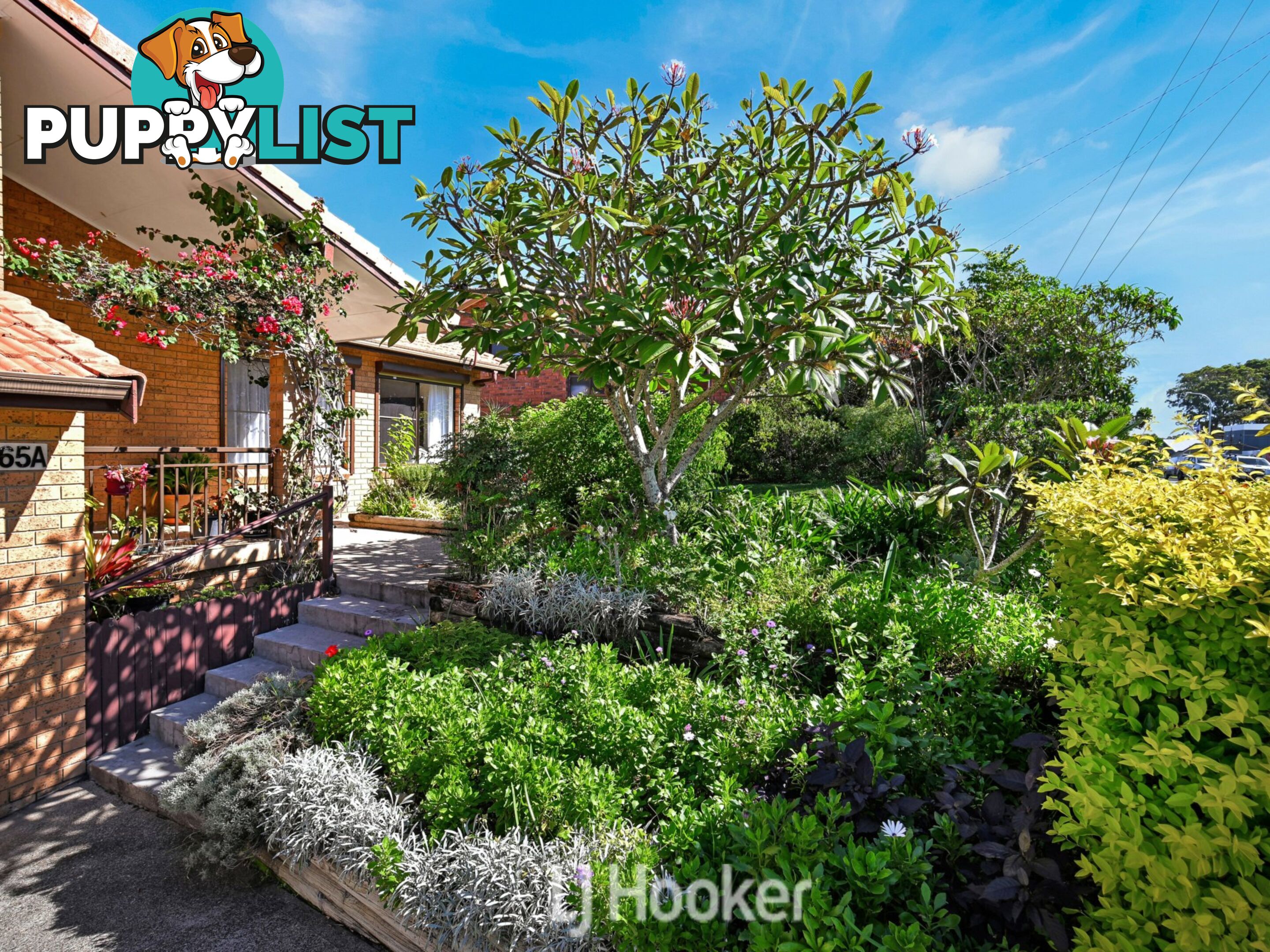 65a Redhead Road HALLIDAYS POINT NSW 2430