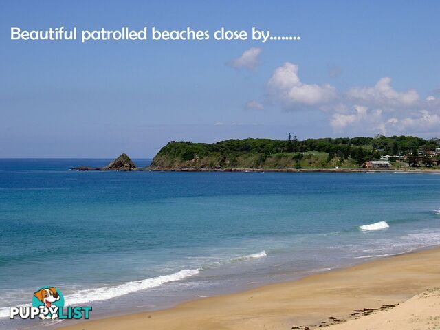 Lot Proposed Lot 11/310-314 Diamond Beach Road DIAMOND BEACH NSW 2430