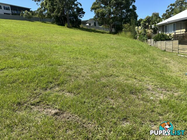 25 Hilltop Parkway TALLWOODS VILLAGE NSW 2430