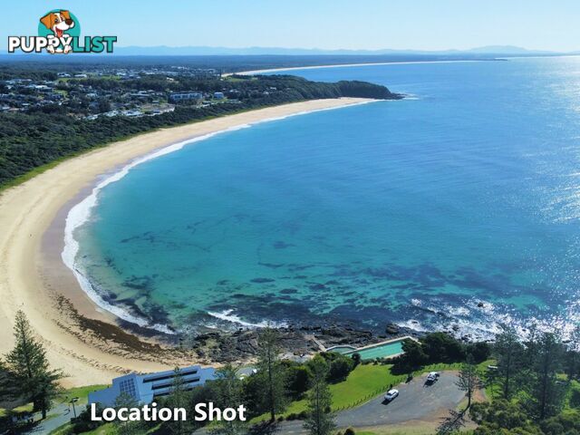 20 Bellevue Place BLACK HEAD NSW 2430
