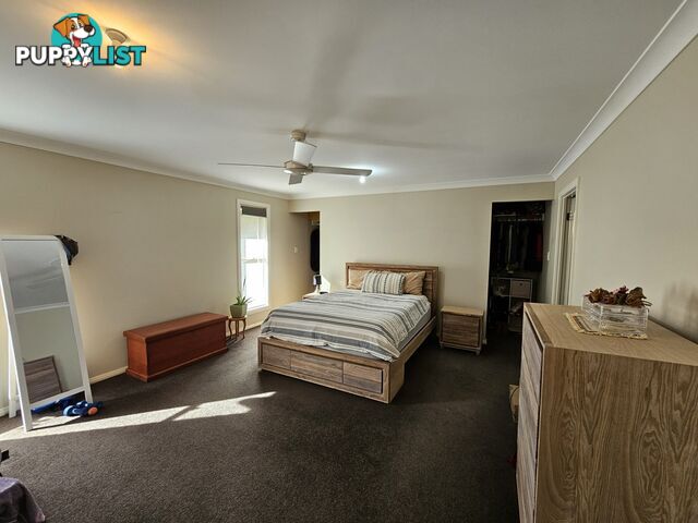 20 Bellevue Place BLACK HEAD NSW 2430
