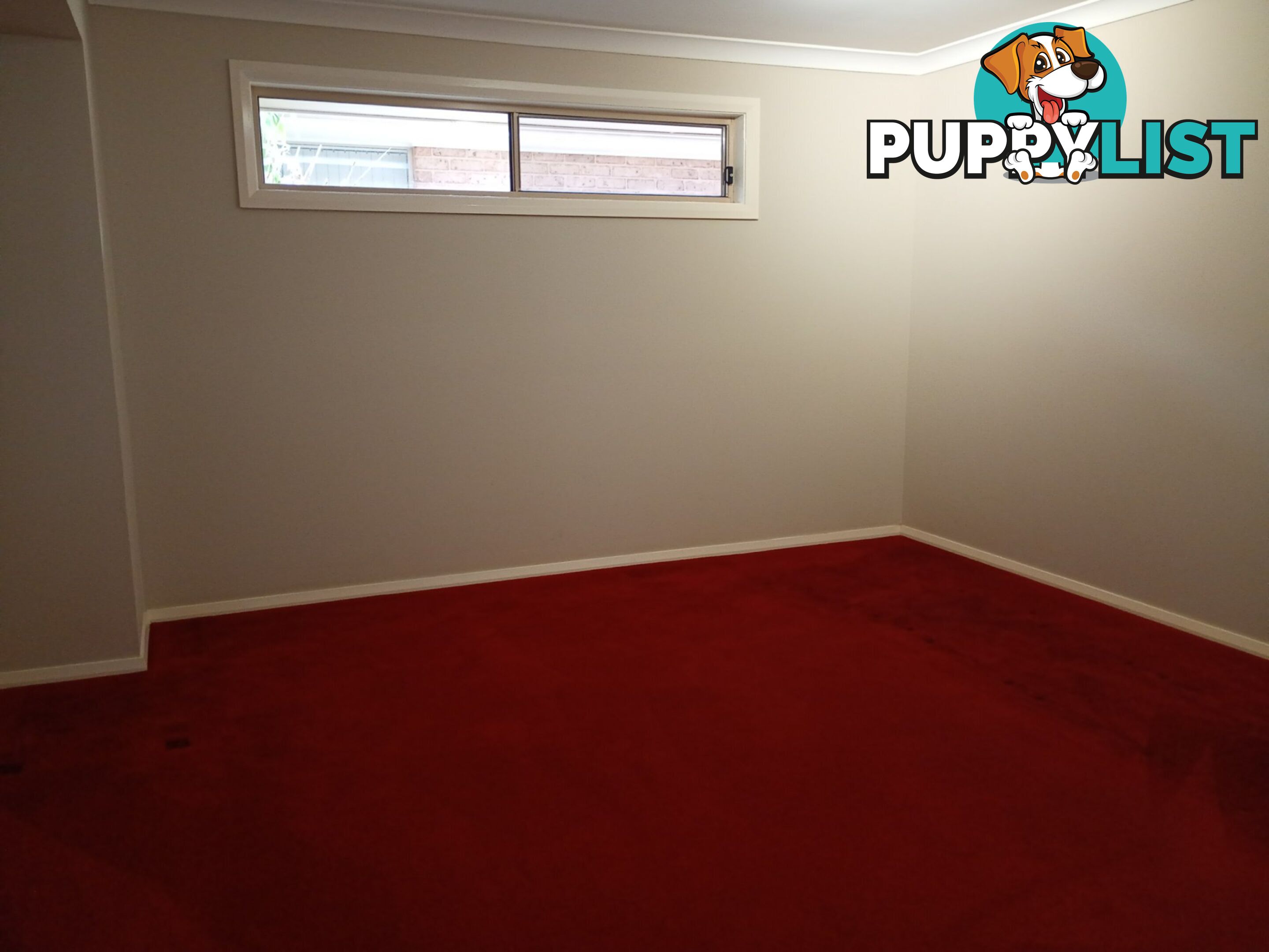 20 Bellevue Place BLACK HEAD NSW 2430
