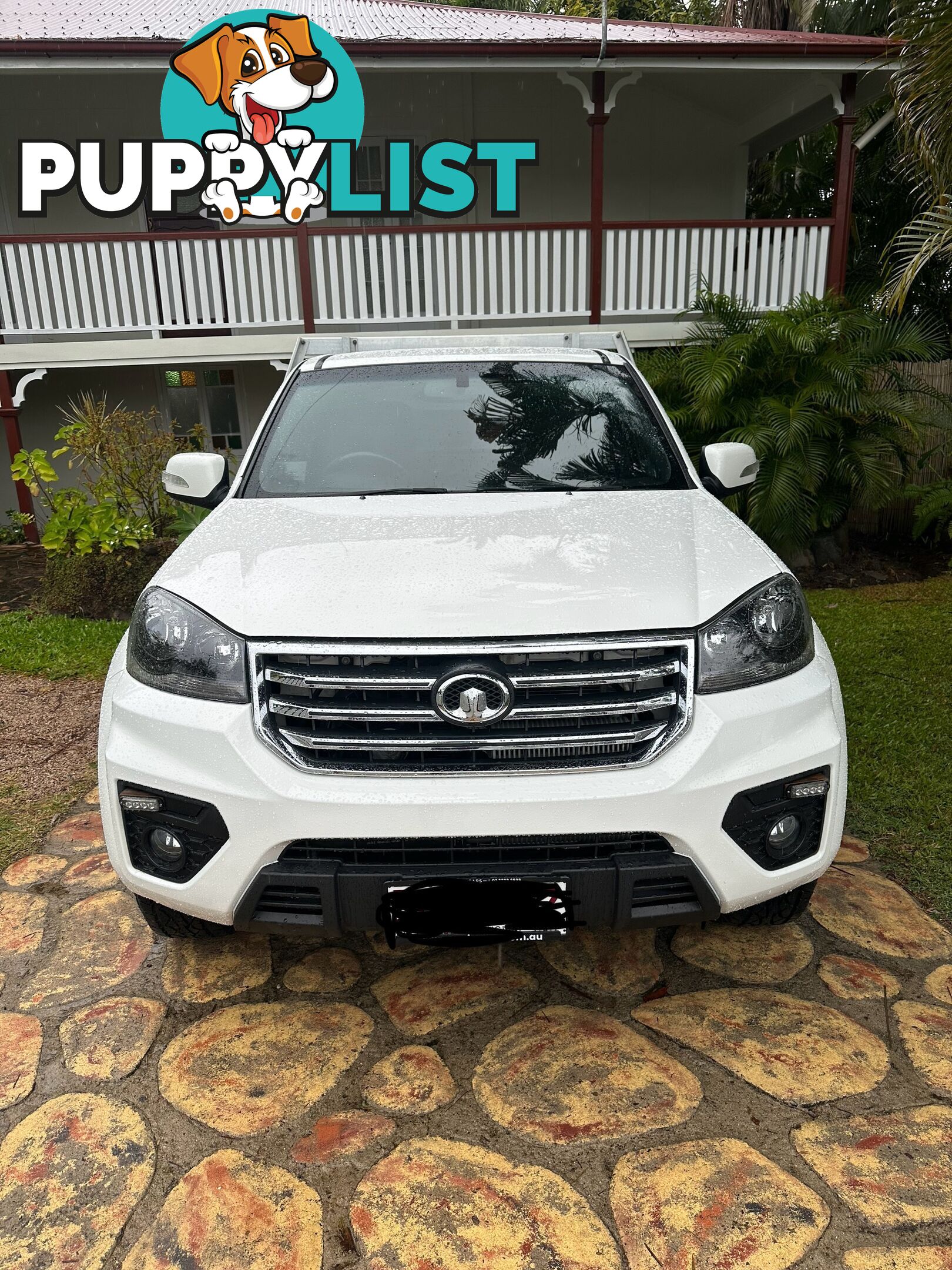 2021 Great Wall Steed Ute Manual 4x4 6spd