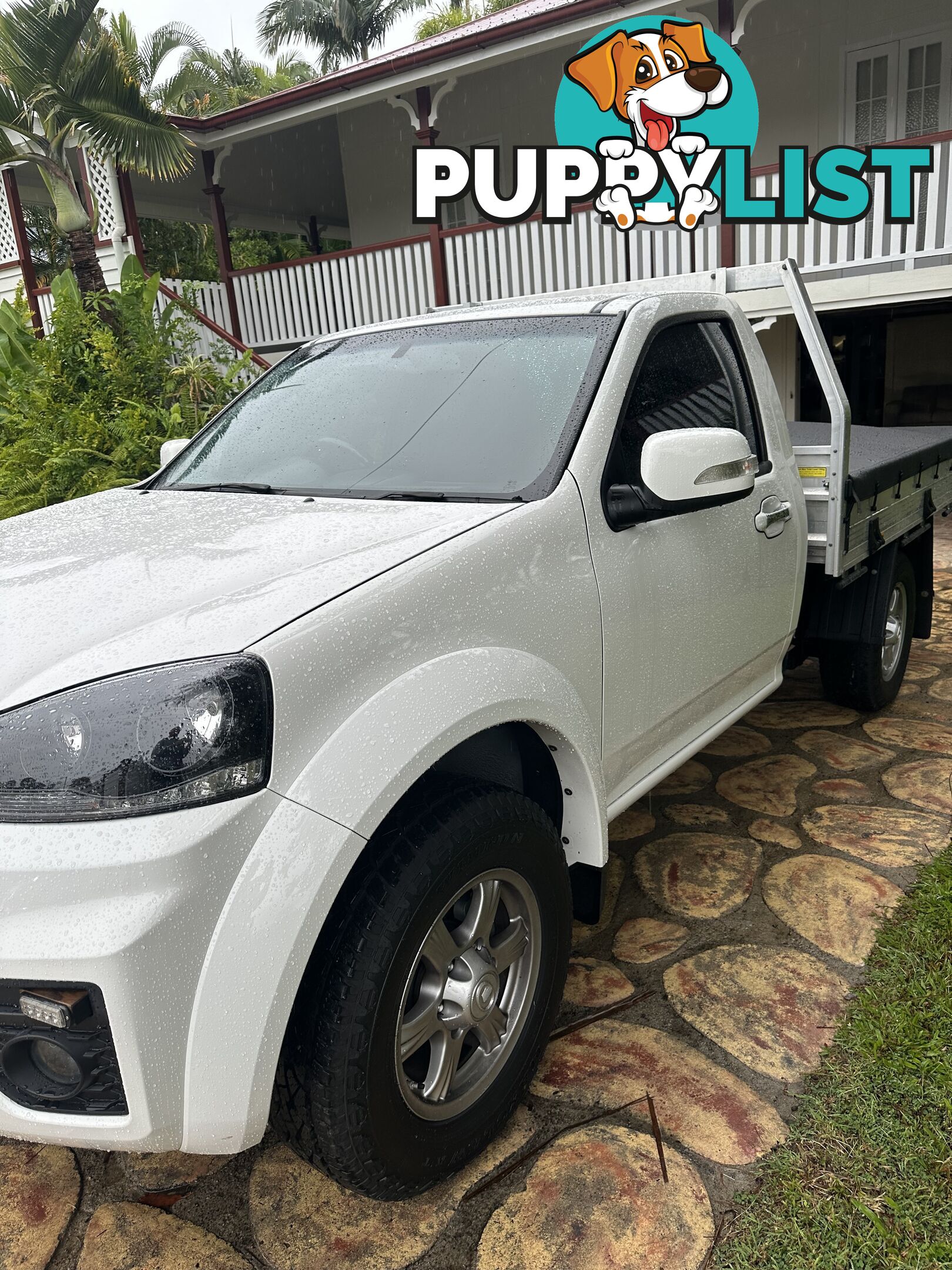 2021 Great Wall Steed Ute Manual 4x4 6spd