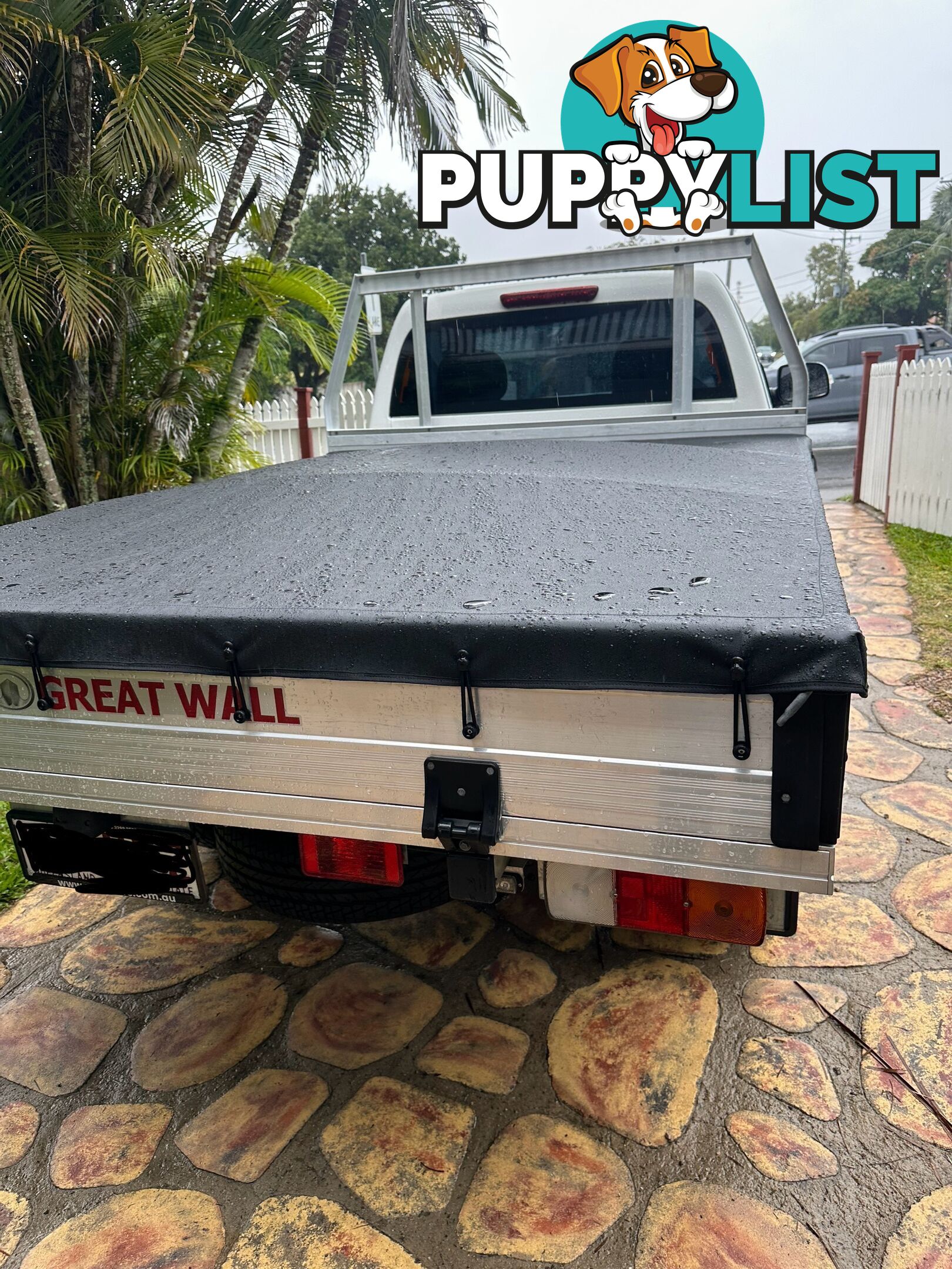 2021 Great Wall Steed Ute Manual 4x4 6spd