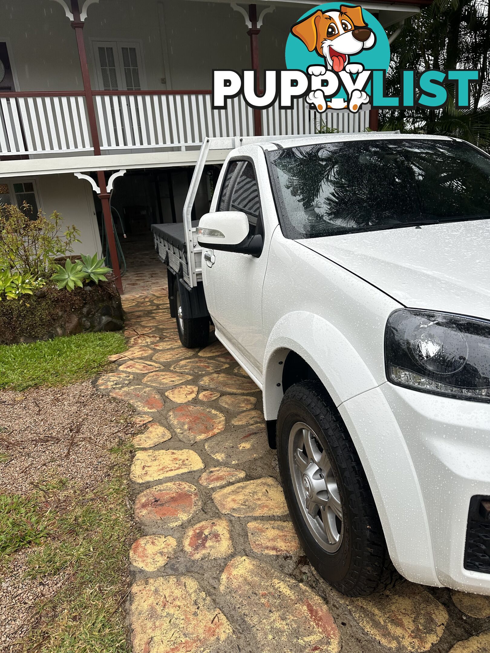 2021 Great Wall Steed Ute Manual 4x4 6spd