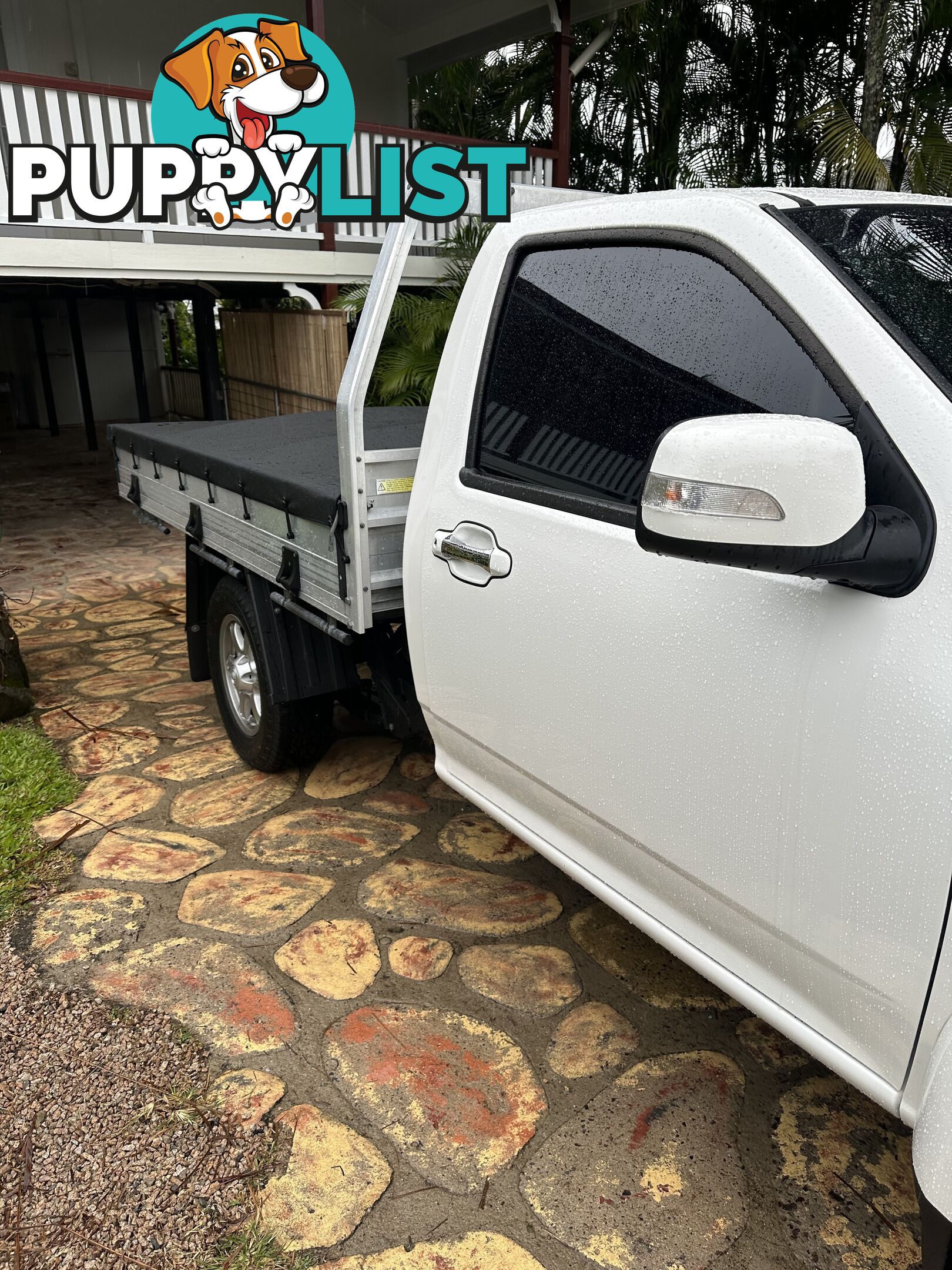 2021 Great Wall Steed Ute Manual 4x4 6spd