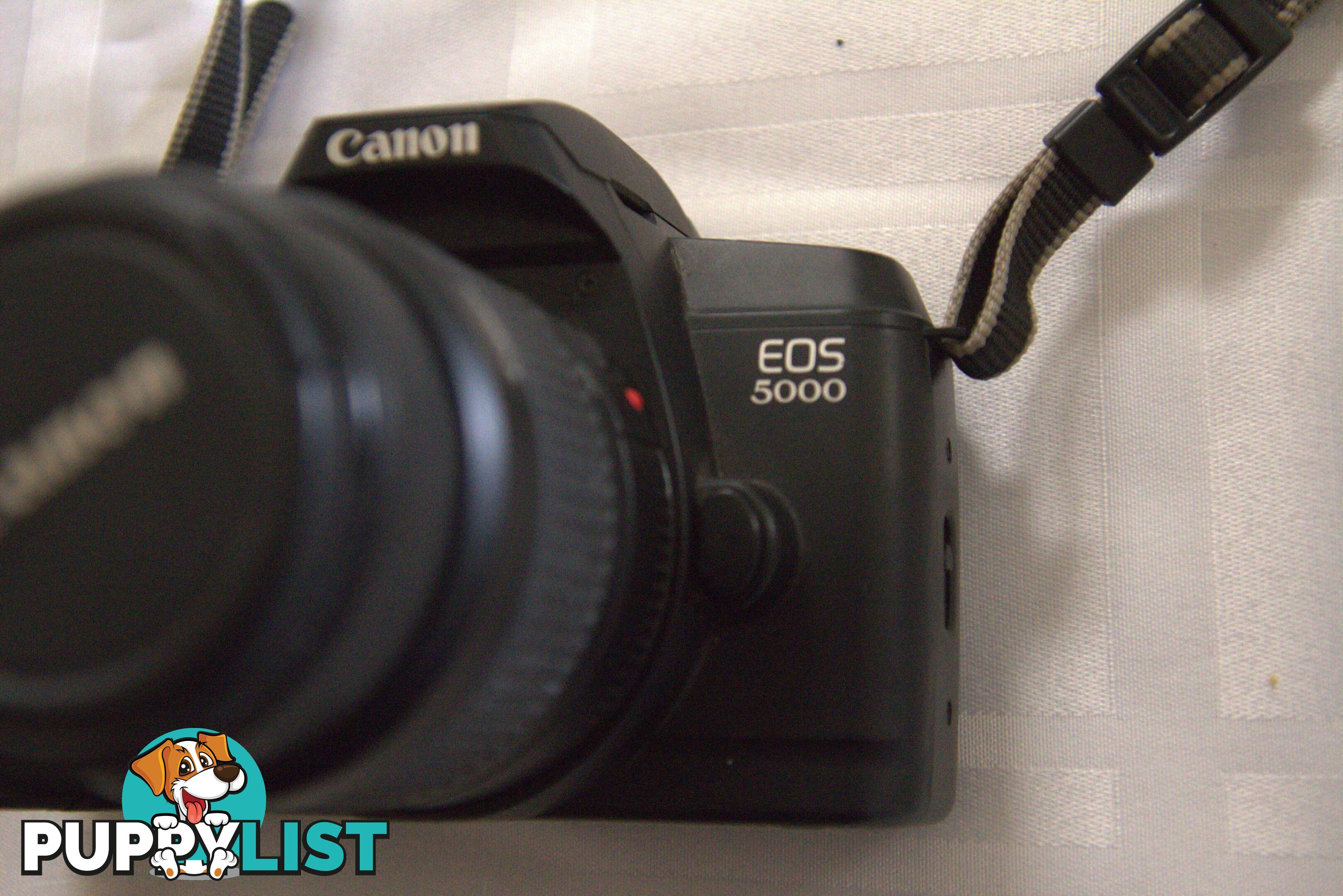 Canon EOS 5000 35mm film camera