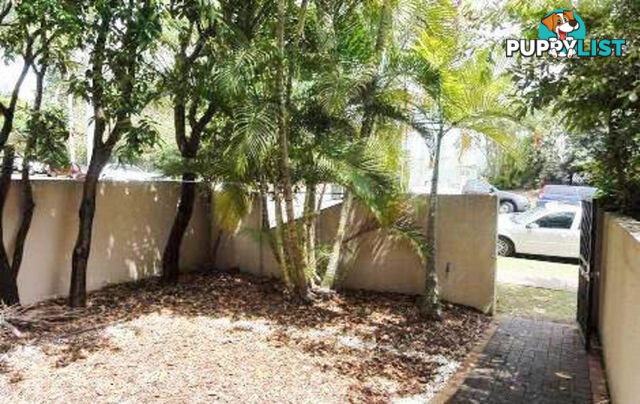 1/50 Durham Street ST LUCIA QLD 4067