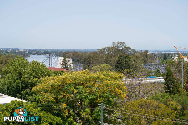 11/8 Finney Road INDOOROOPILLY QLD 4068