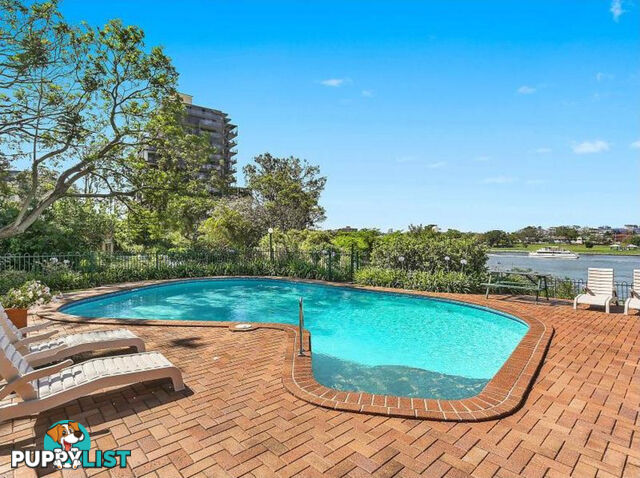 11/82 Sandford Street ST LUCIA QLD 4067