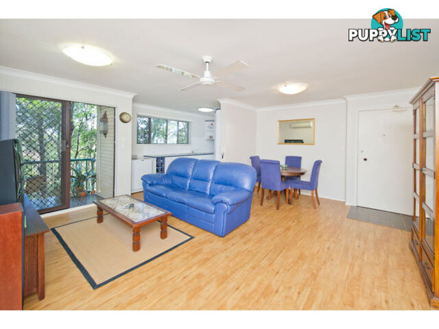 6/73 Payne Street INDOOROOPILLY QLD 4068