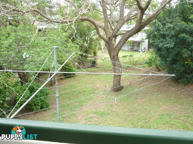 46 Stevenson Street PADDINGTON QLD 4064