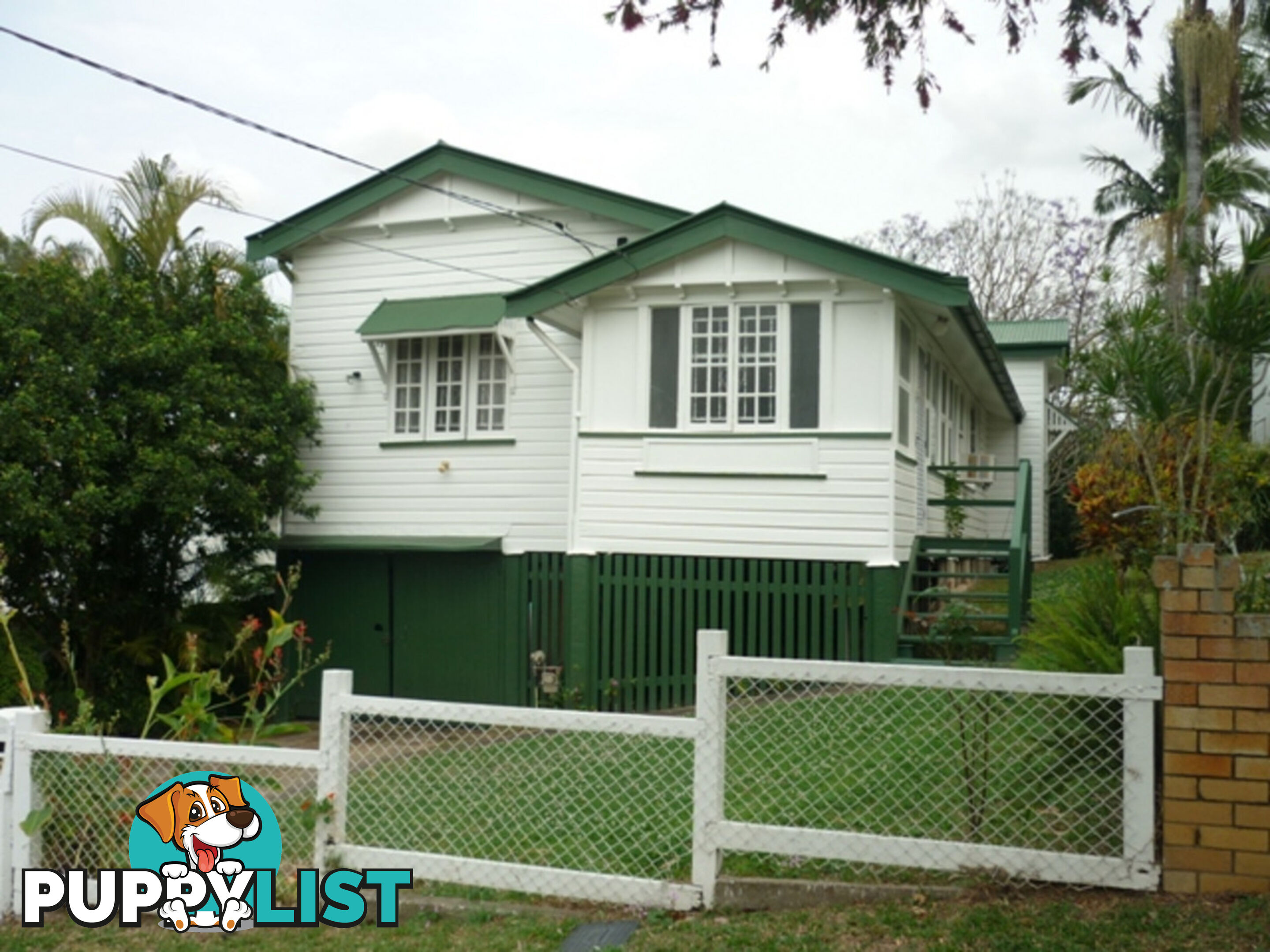 46 Stevenson Street PADDINGTON QLD 4064