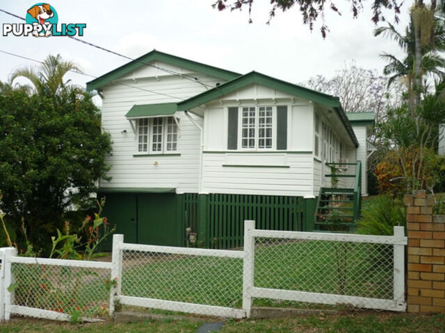 46 Stevenson Street PADDINGTON QLD 4064