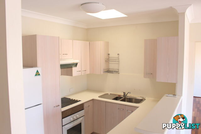 4/20 Augustus Street TOOWONG QLD 4066